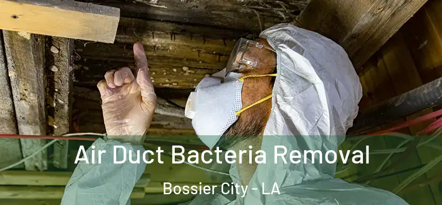 Air Duct Bacteria Removal Bossier City - LA