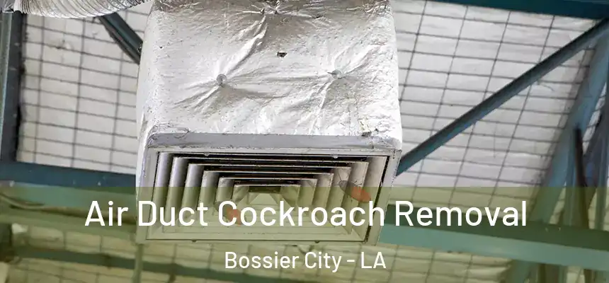 Air Duct Cockroach Removal Bossier City - LA