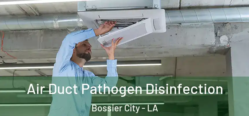 Air Duct Pathogen Disinfection Bossier City - LA