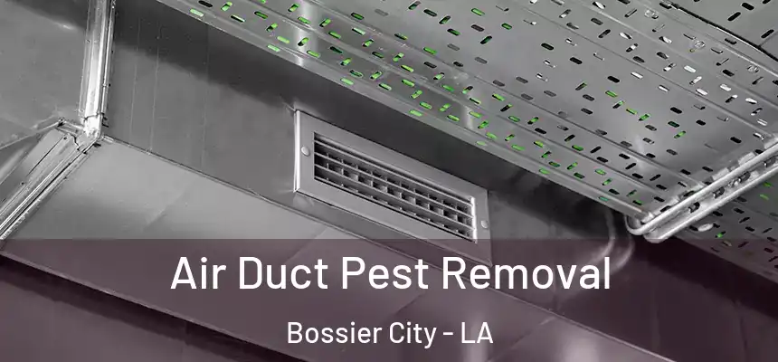 Air Duct Pest Removal Bossier City - LA