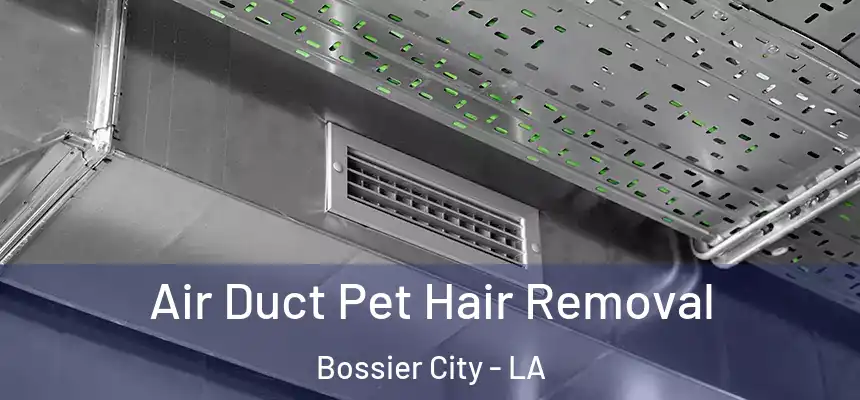 Air Duct Pet Hair Removal Bossier City - LA