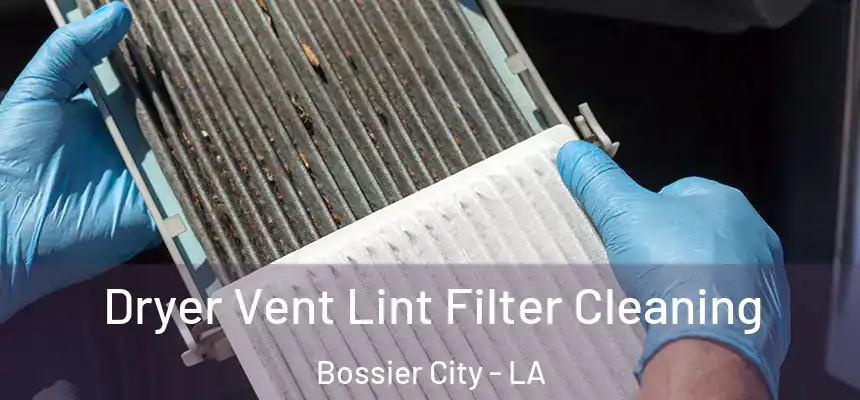  Dryer Vent Lint Filter Cleaning Bossier City - LA