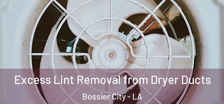 Excess Lint Removal from Dryer Ducts Bossier City - LA