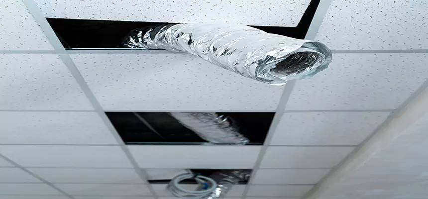 Our Air Duct Pet Hair Removal Services in Bossier City, LA