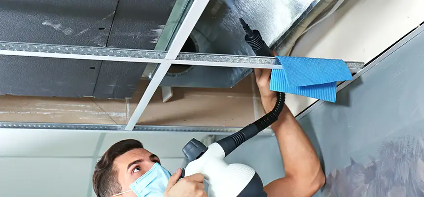 Our Air Duct Rodent Removal Services in Bossier City, LA