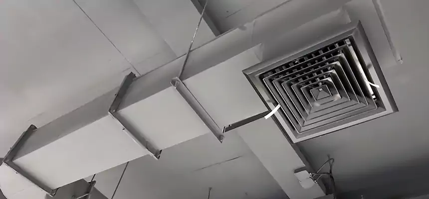 Our Pest Removal From Ducts Services in Bossier City, LA