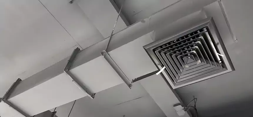 Our Rodent Droppings In Vents Services in Bossier City, LA