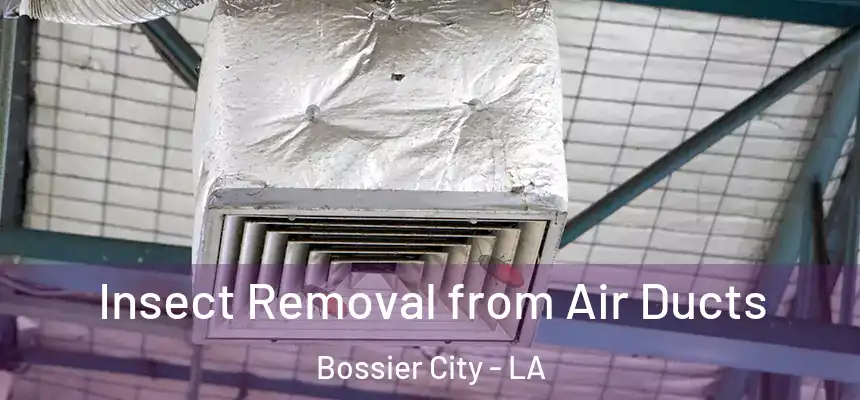 Insect Removal from Air Ducts Bossier City - LA