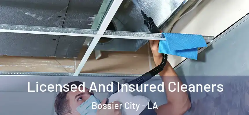 Licensed And Insured Cleaners Bossier City - LA