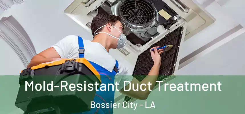 Mold-Resistant Duct Treatment Bossier City - LA