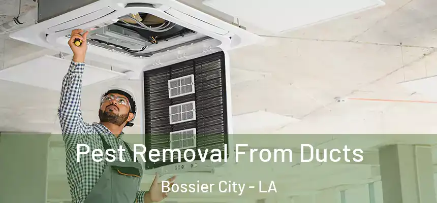 Pest Removal From Ducts Bossier City - LA