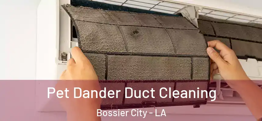 Pet Dander Duct Cleaning Bossier City - LA