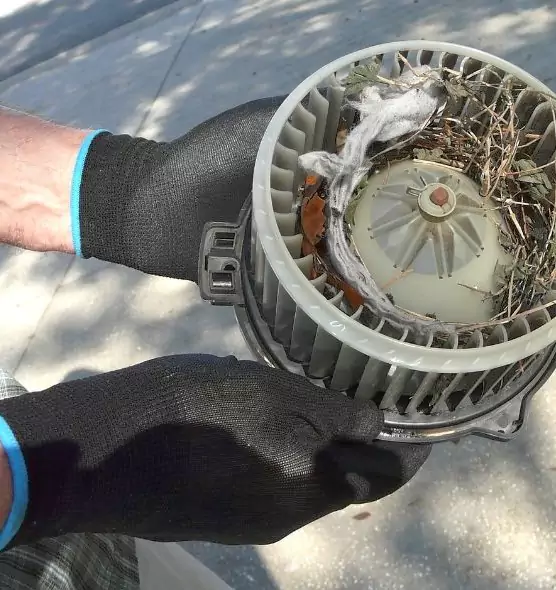 About Air Duct Mice Removal in Bossier City, LA