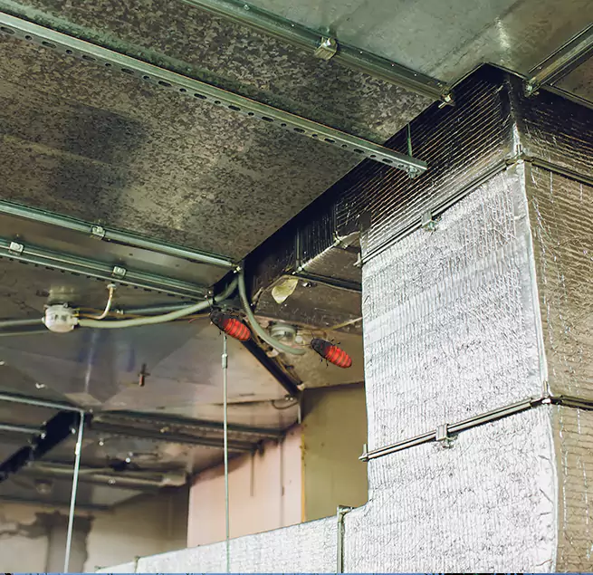 Why Homeowners & Businesses Trust Us in Bossier City, LA?