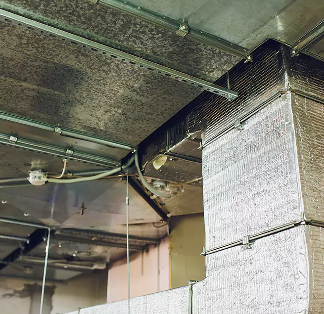 Why Homeowners & Businesses Trust Us in Bossier City, LA?